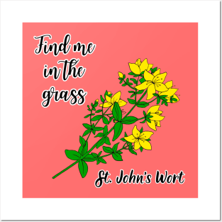 Find me in the grass St. Johns Wort Posters and Art